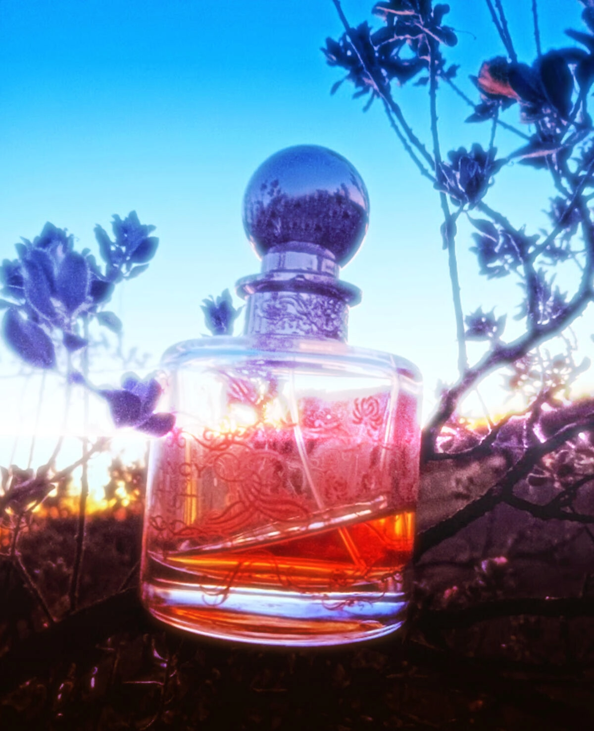 Jessica Simpson Fancy Jessica Simpson Fancy