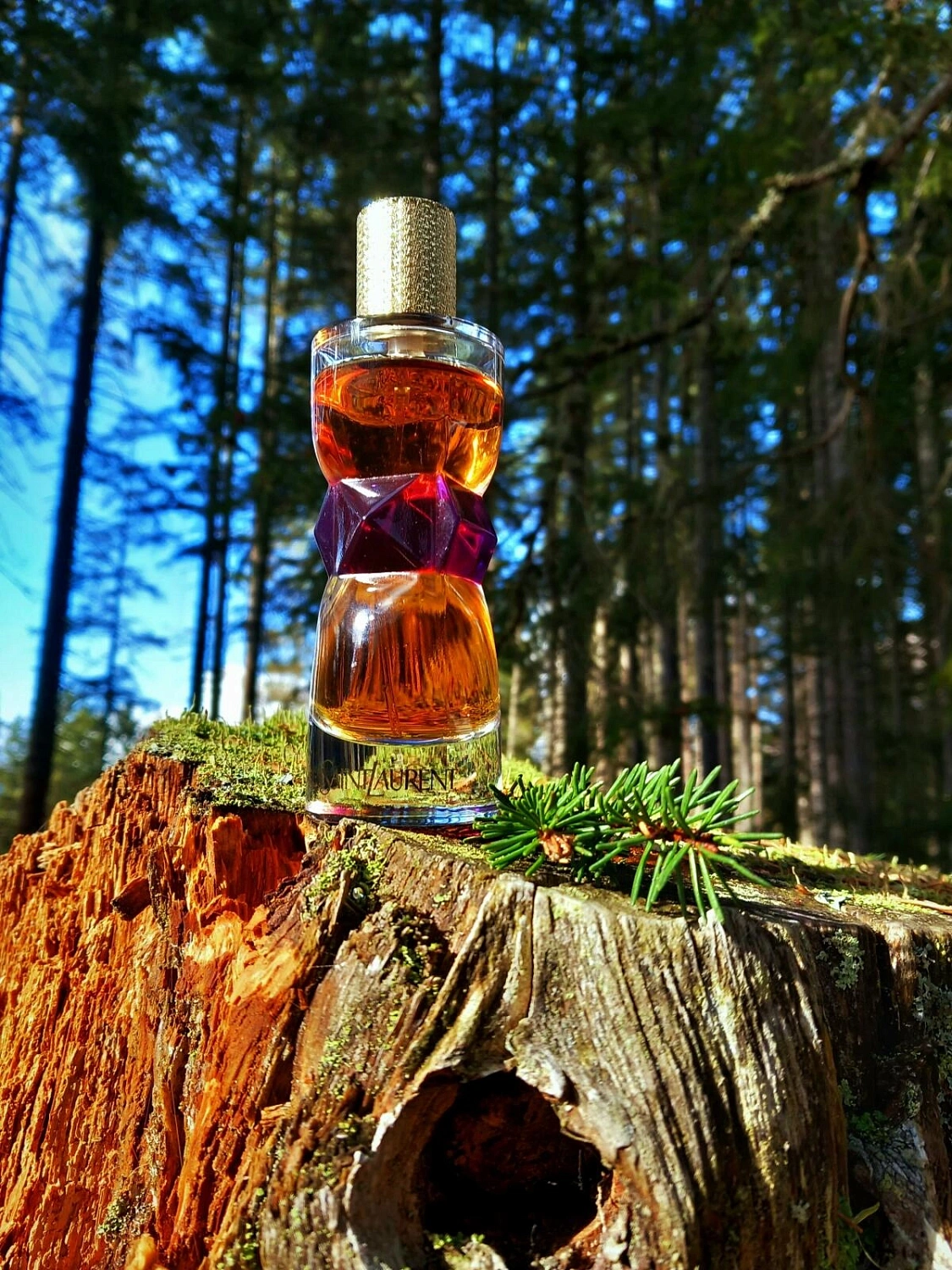 Yves Saint Laurent Manifesto