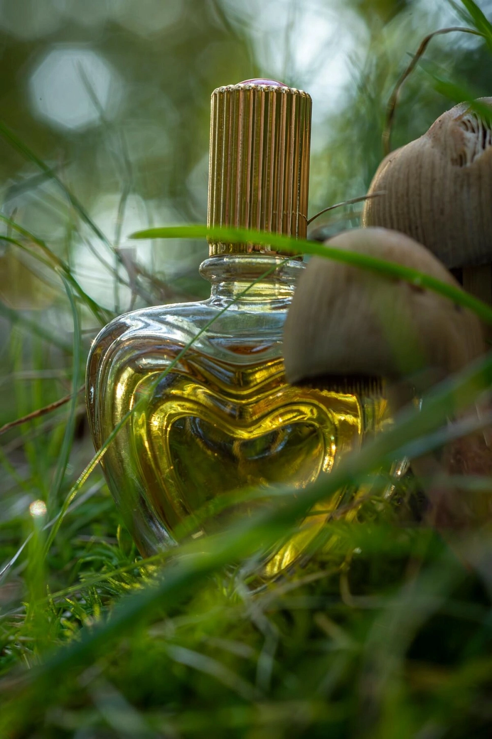 Escada Margaretha Ley