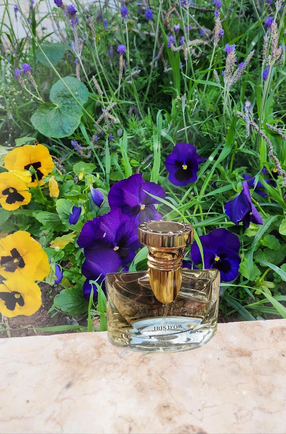 BVLGARI Splendida Iris d’Or