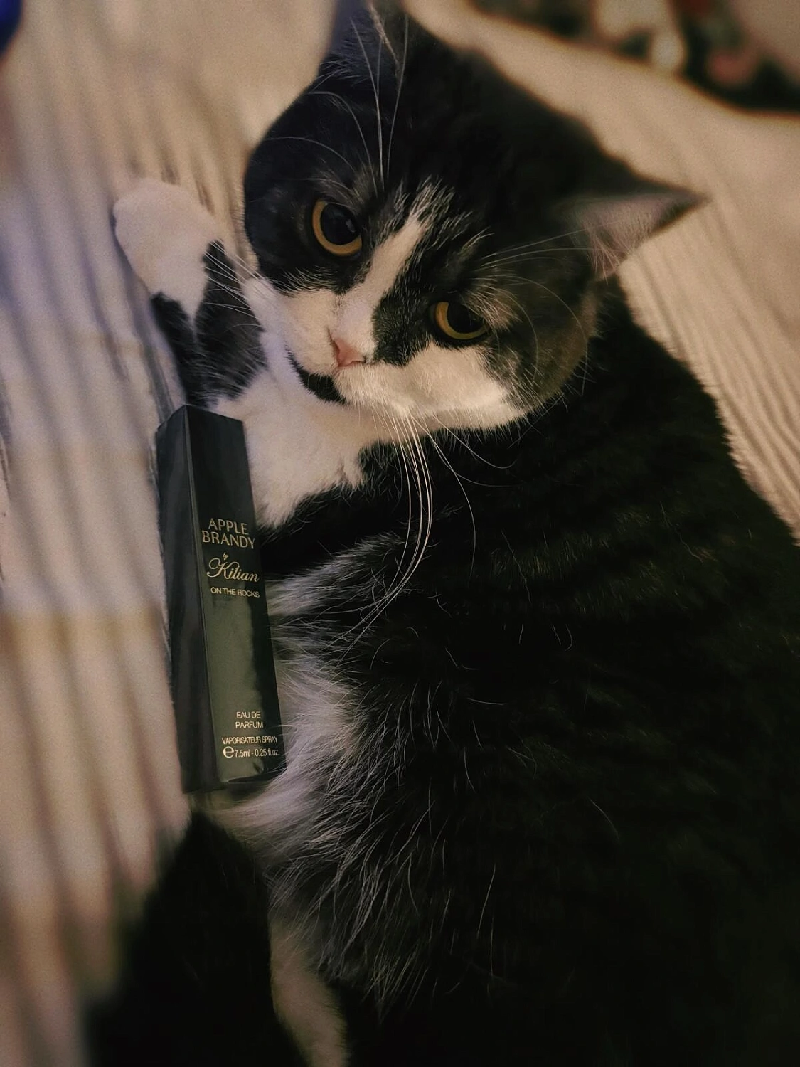 By Kilian Apple Brandy on the Rocks