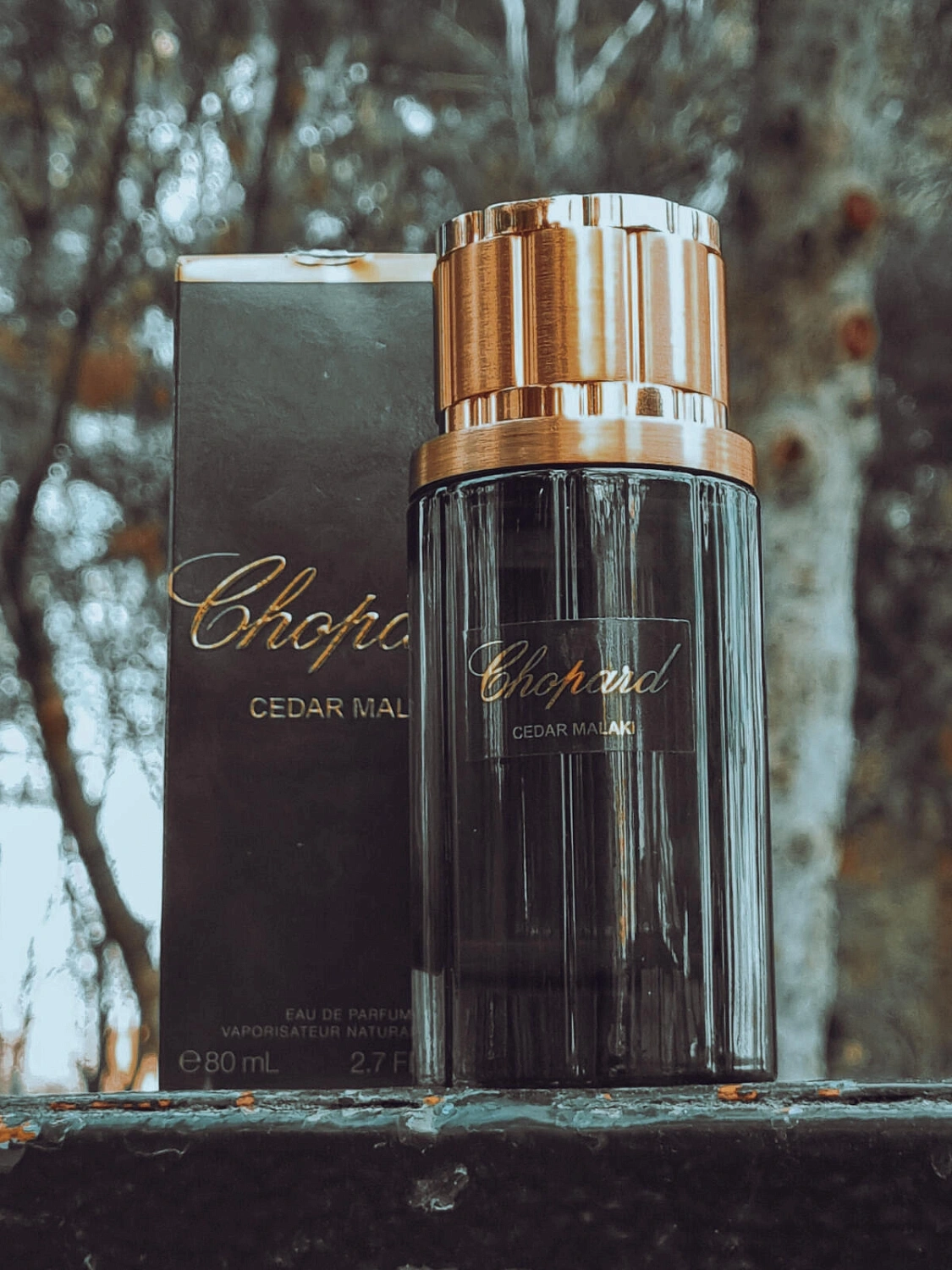 Chopard Cedar Malaki Chopard Cedar Malaki