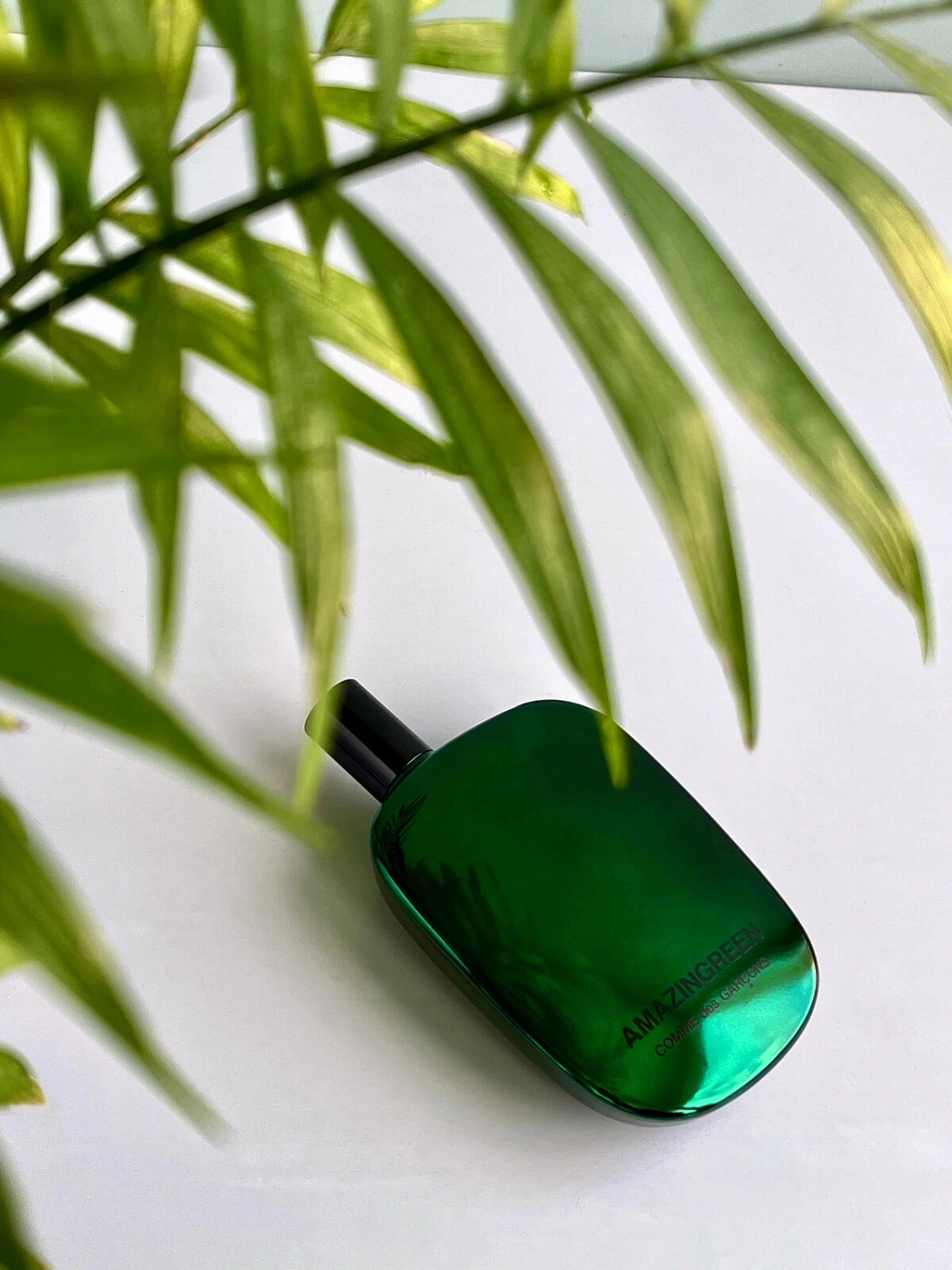 Comme des Garcons Amazingreen