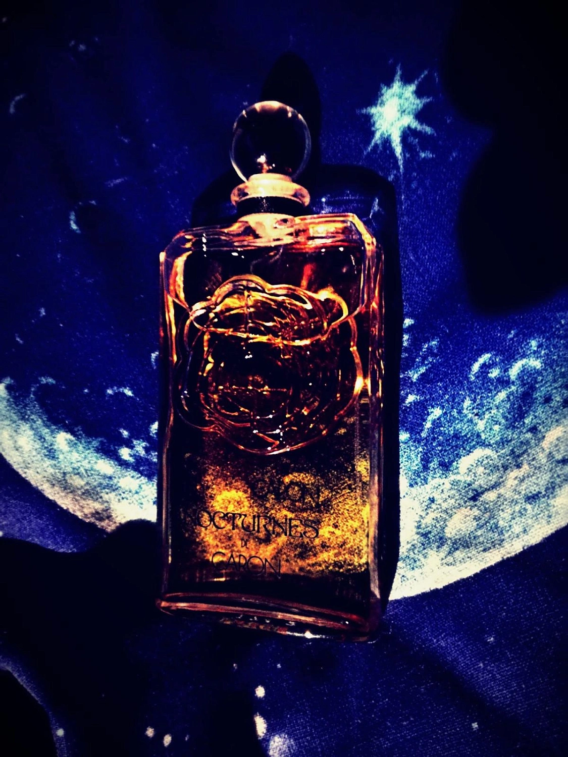 Caron Nocturnes 2013