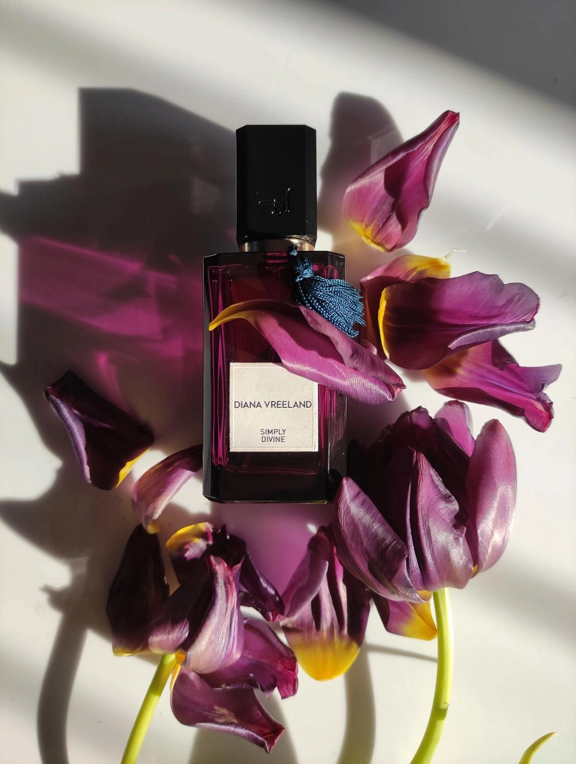 Diana Vreeland Simply Divine