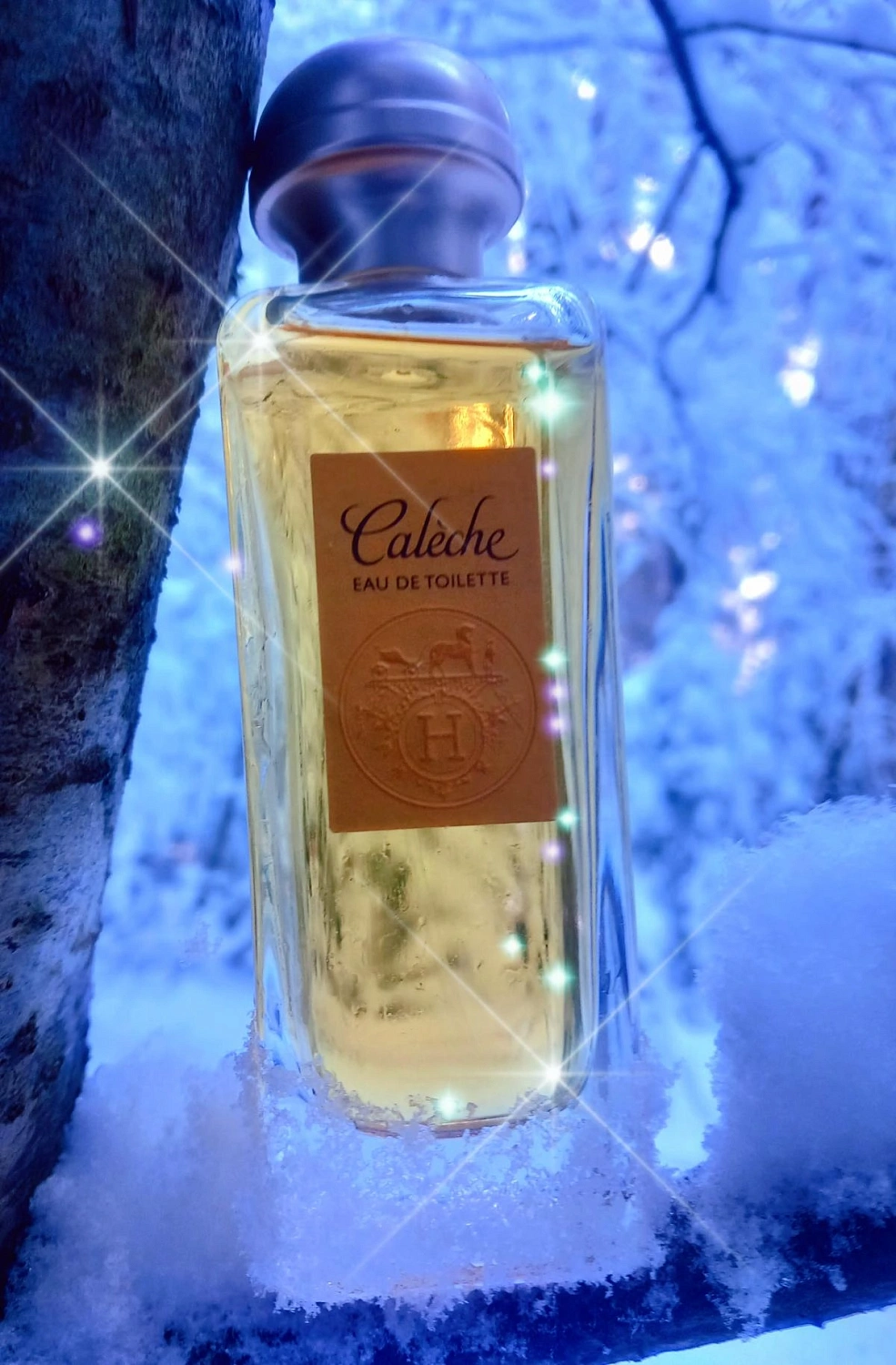 Hermès Caleche