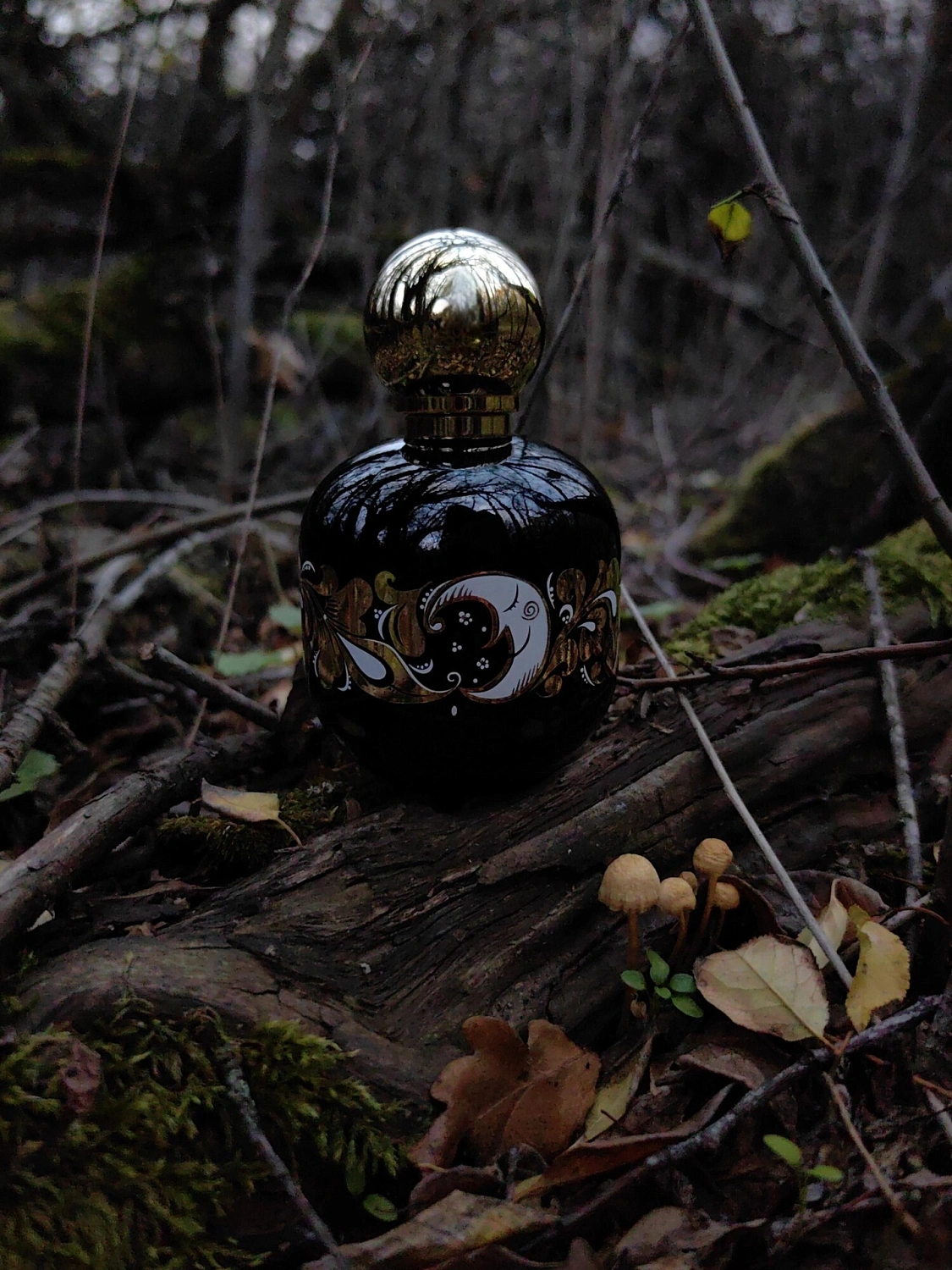 The Vagabond Prince Enchanted Forest