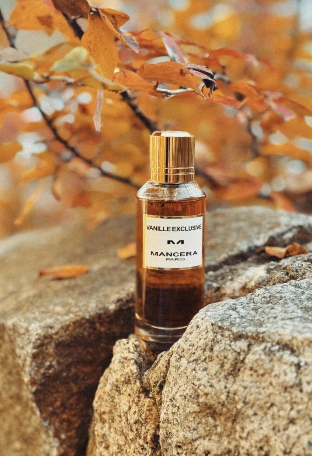 Mancera Vanille Exclusive