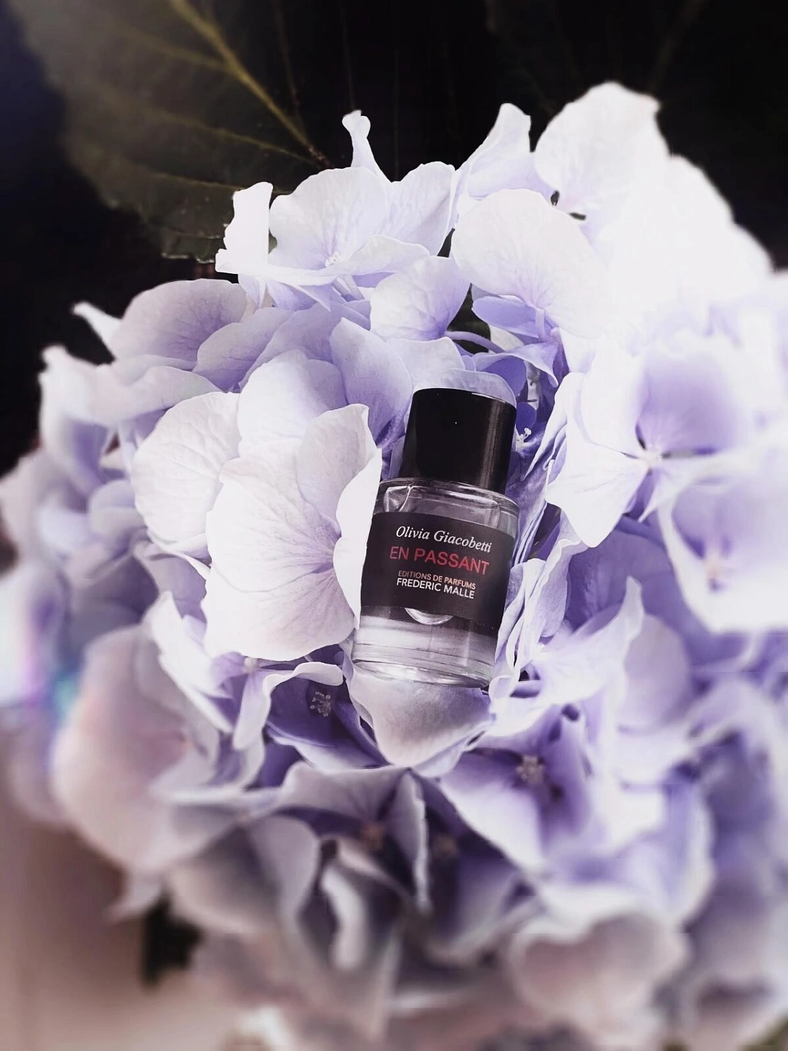 Frederic Malle En Passant