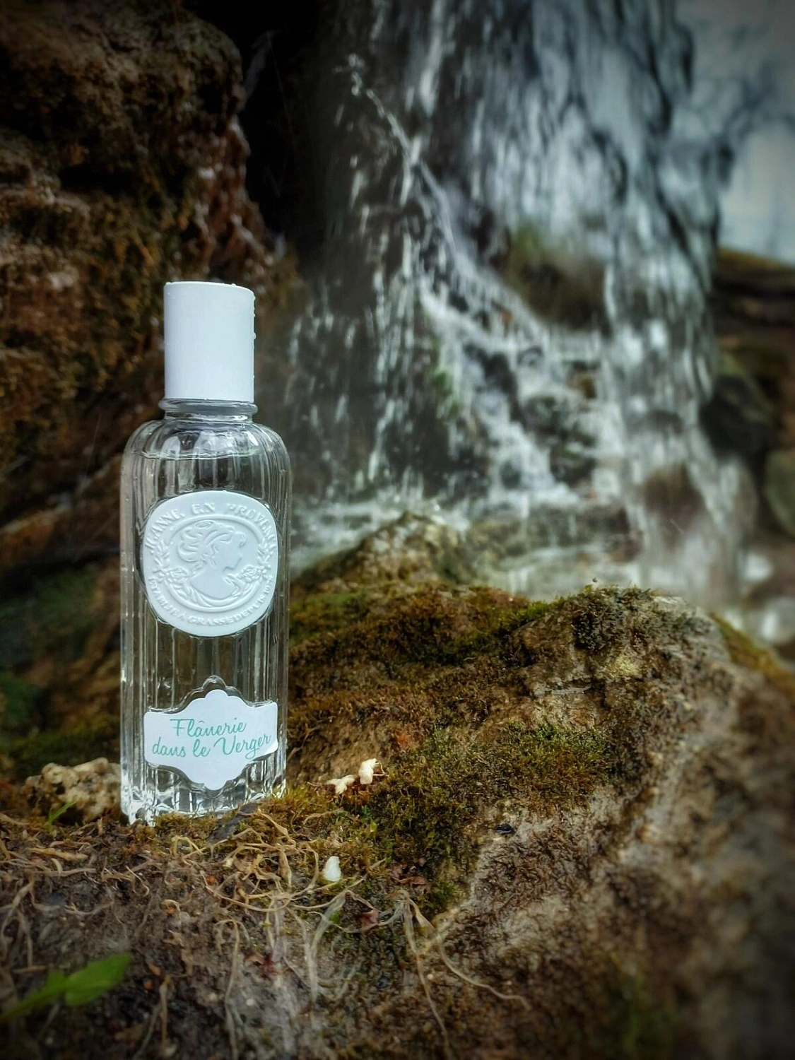 Jeanne en Provence Flanerie Dans La Verger