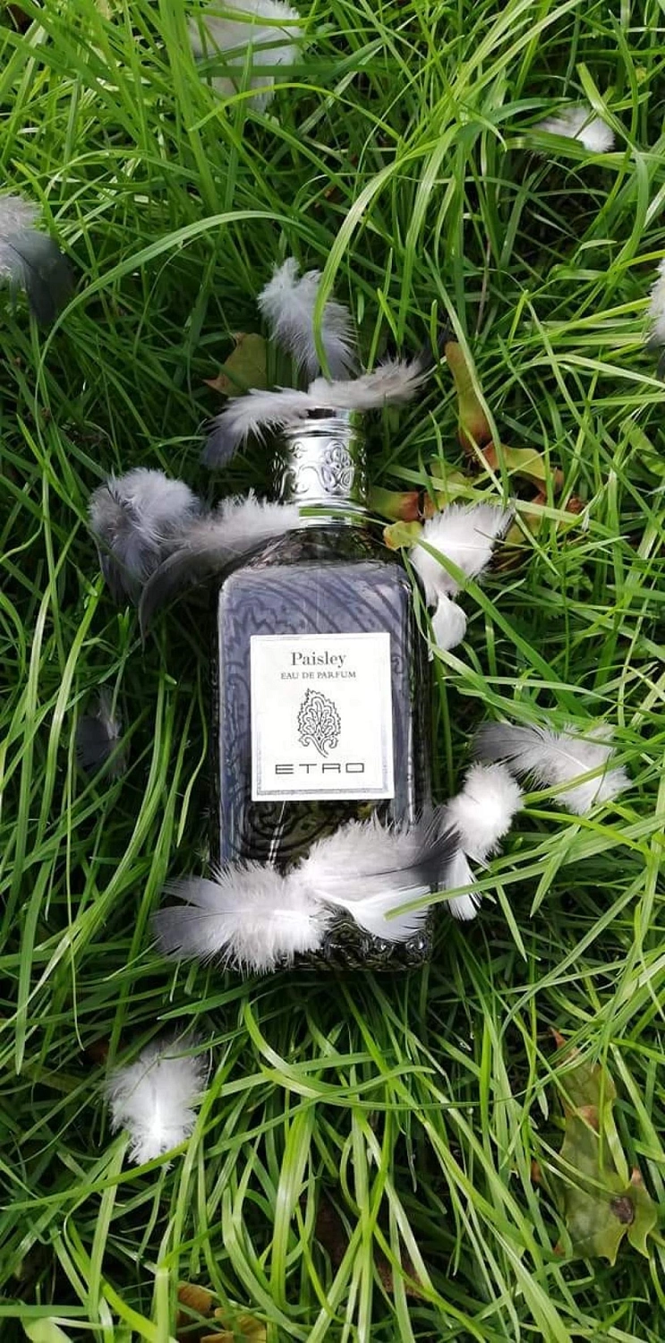 ETRO Paisley
