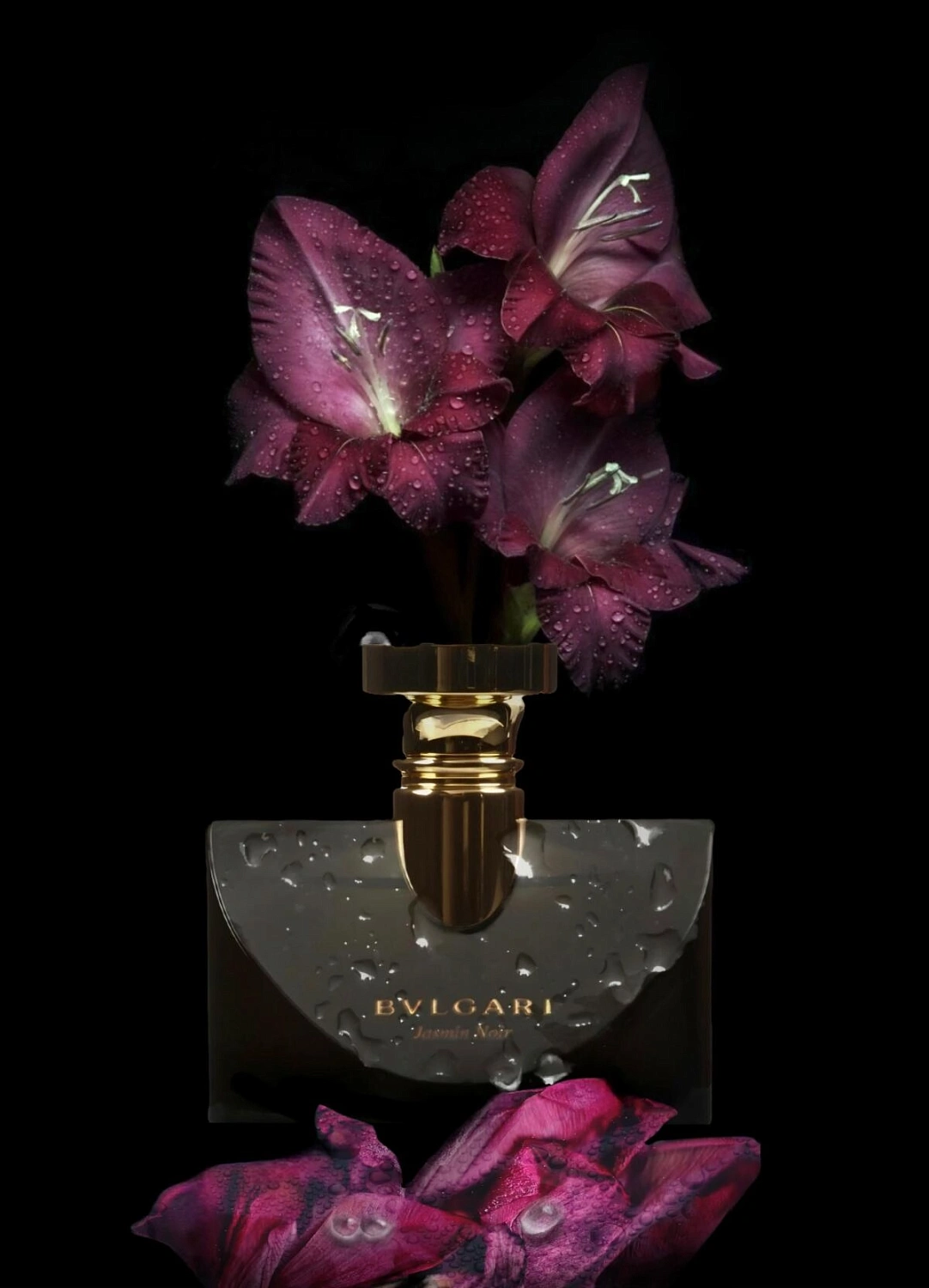 BVLGARI Jasmin Noir BVLGARI Jasmin Noir