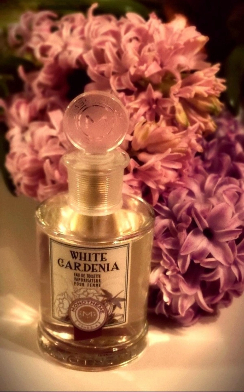 Monotheme Fine Fragrances Venezia White Gardenia