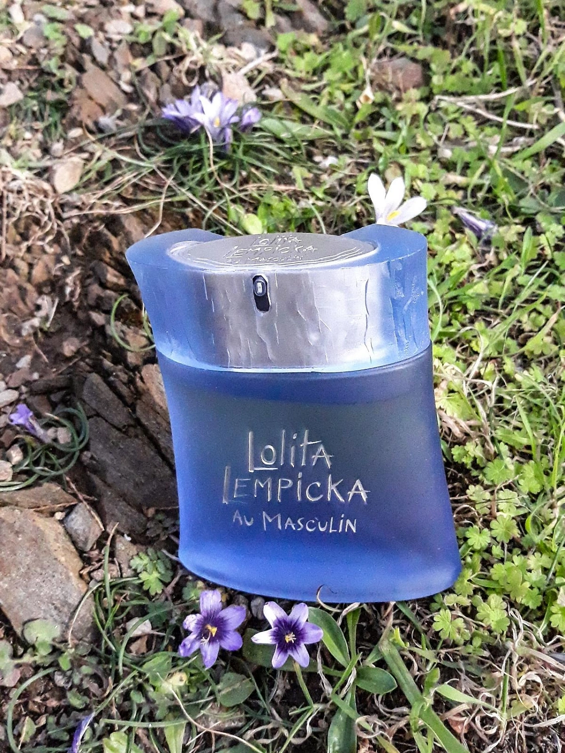 Lolita Lempicka Au Masculin Fraicheur