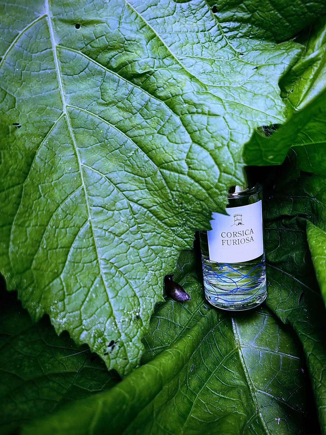 Parfum d`Empire Corsica Furiosa