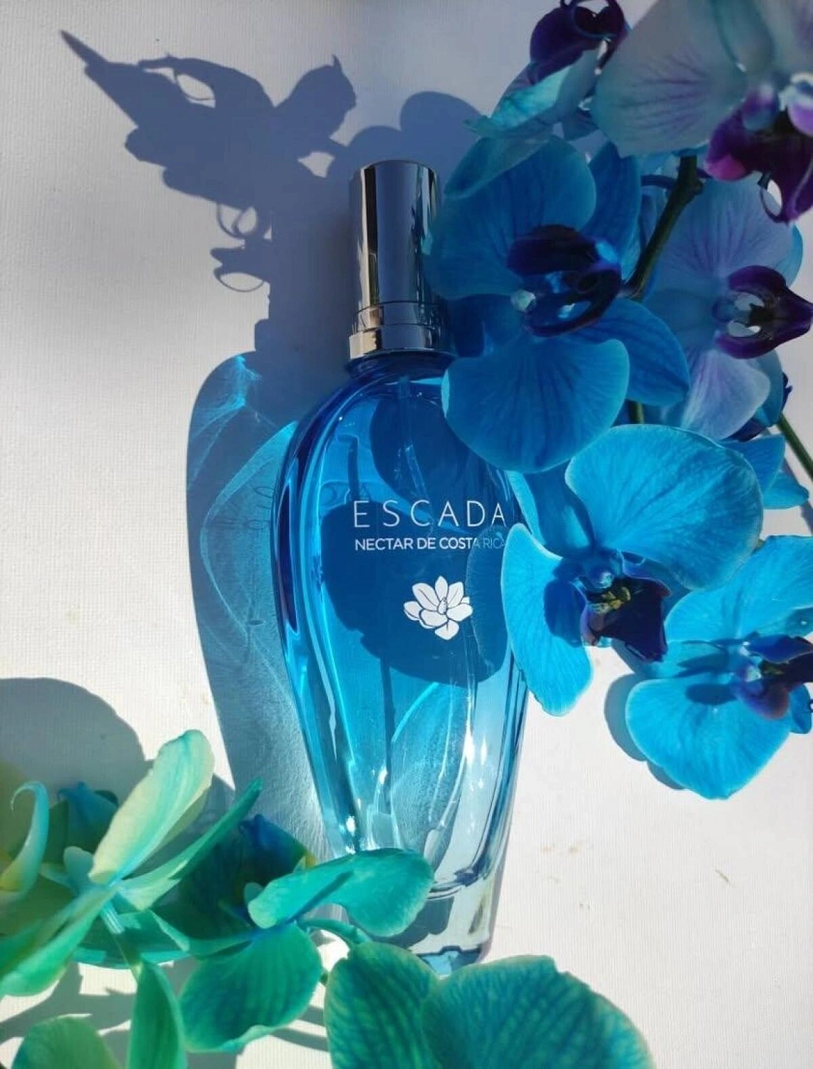 Escada Nectar de Costa Rica