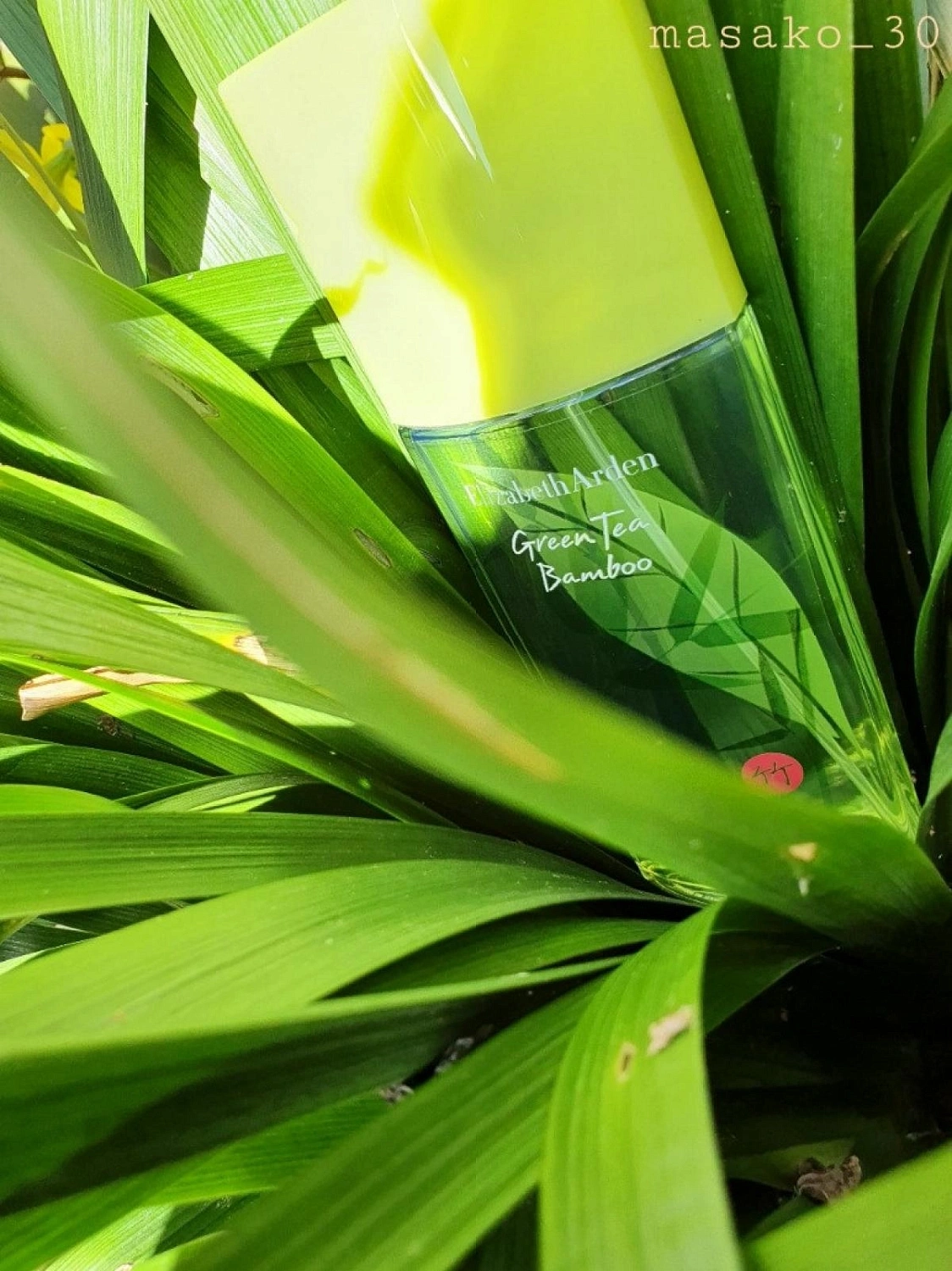 Elizabeth Arden Green Tea Bamboo