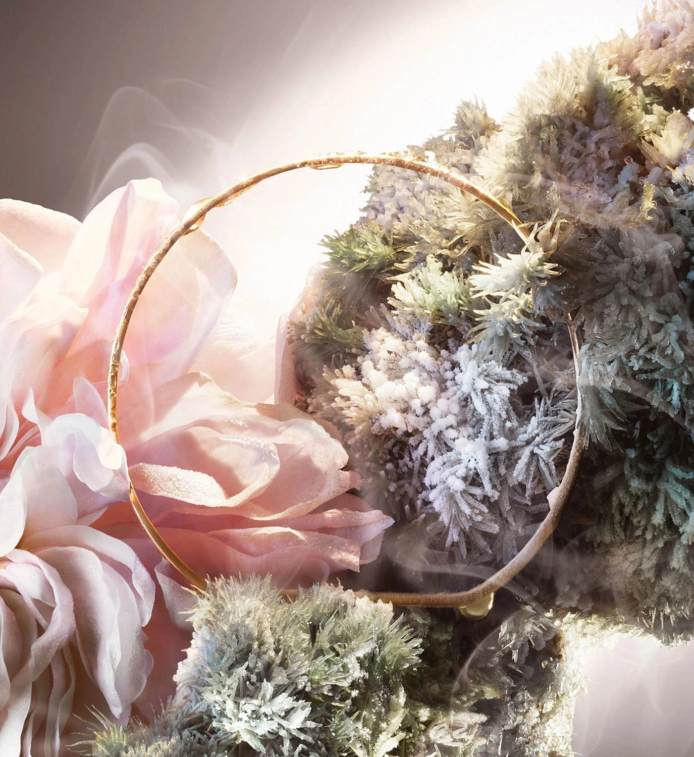 Lancome Absolue Not Your Rose