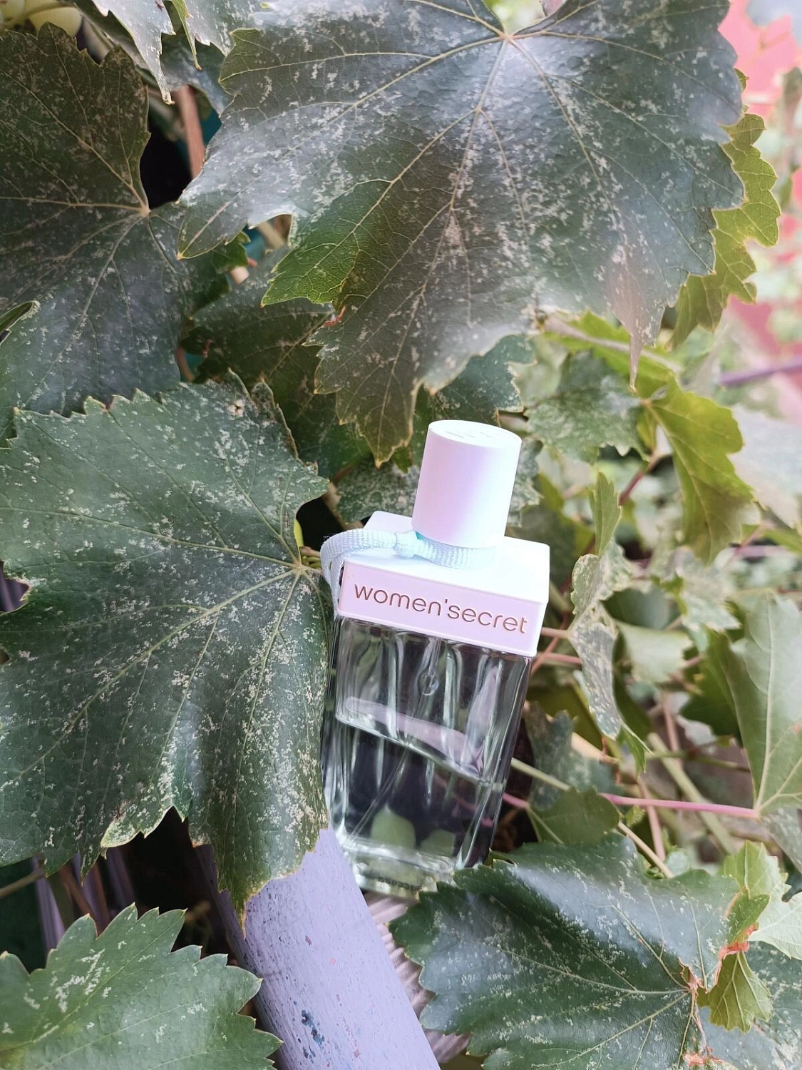 Women’s Secret Intimate Daydream