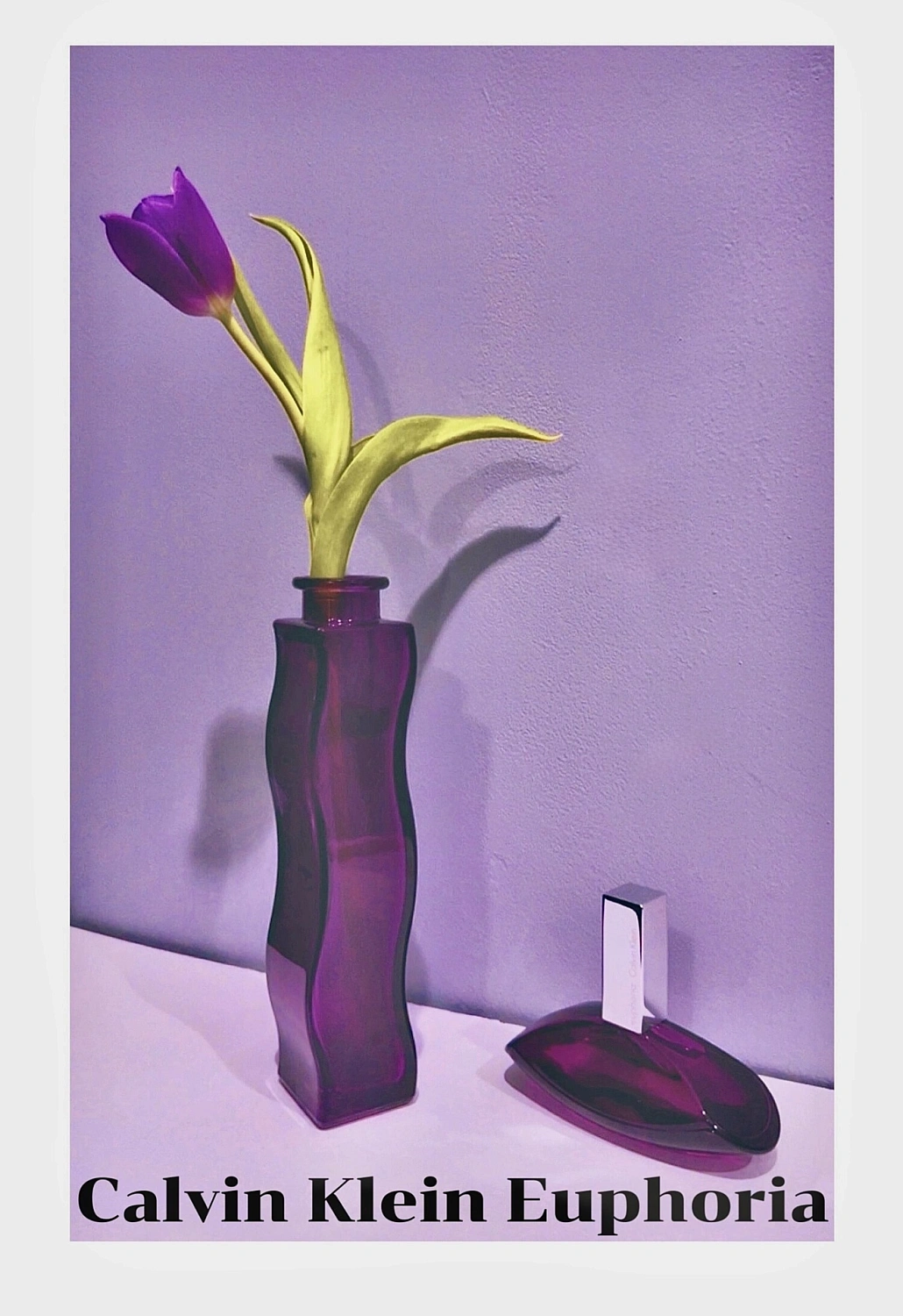 Calvin Klein Euphoria