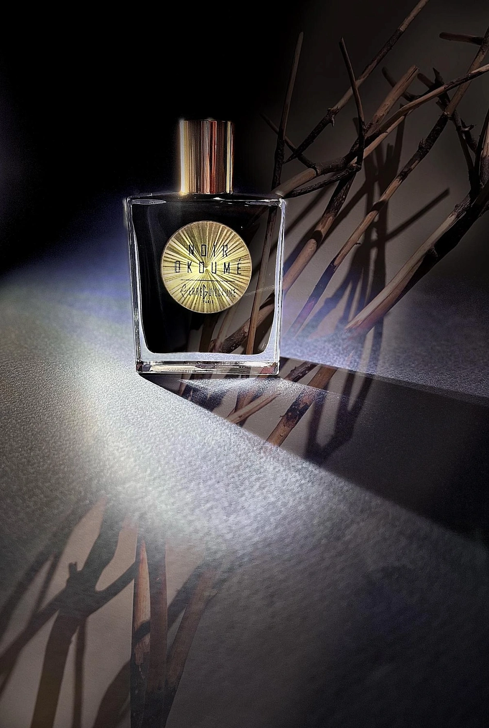 Pierre Guillaume Noir Okoume