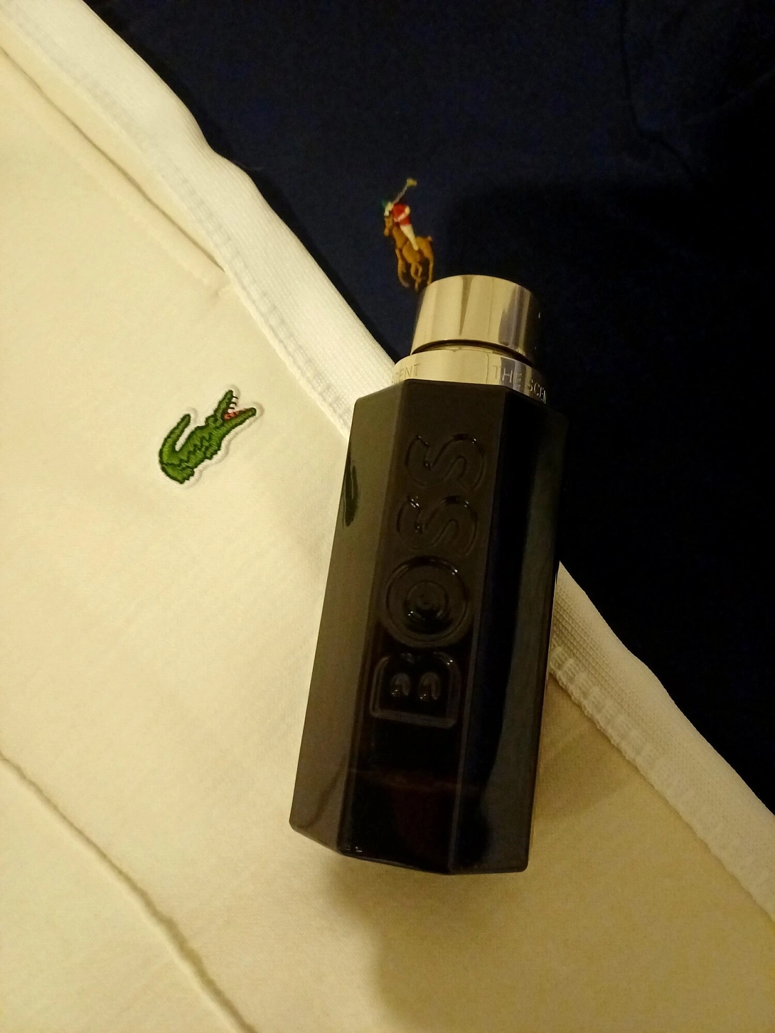 Hugo Boss The Scent For Him Magnetic