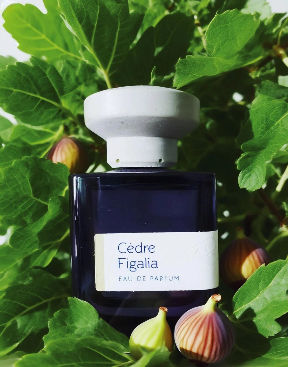 Atelier Materi Cedre Figalia