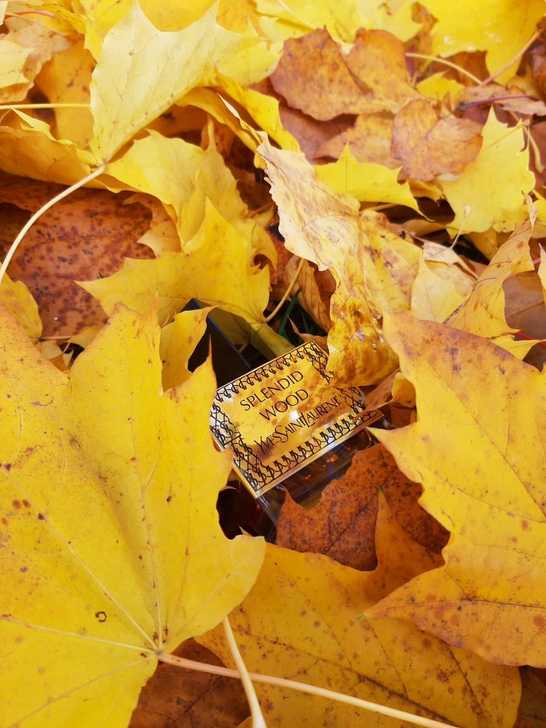 Yves Saint Laurent Splendid Wood