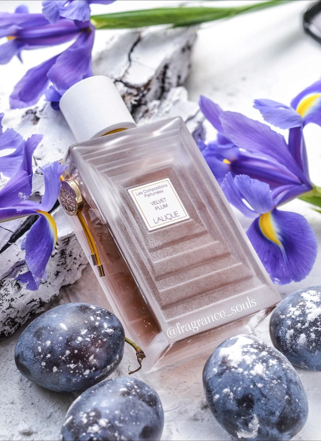 Lalique Velvet Plum Lalique Velvet Plum