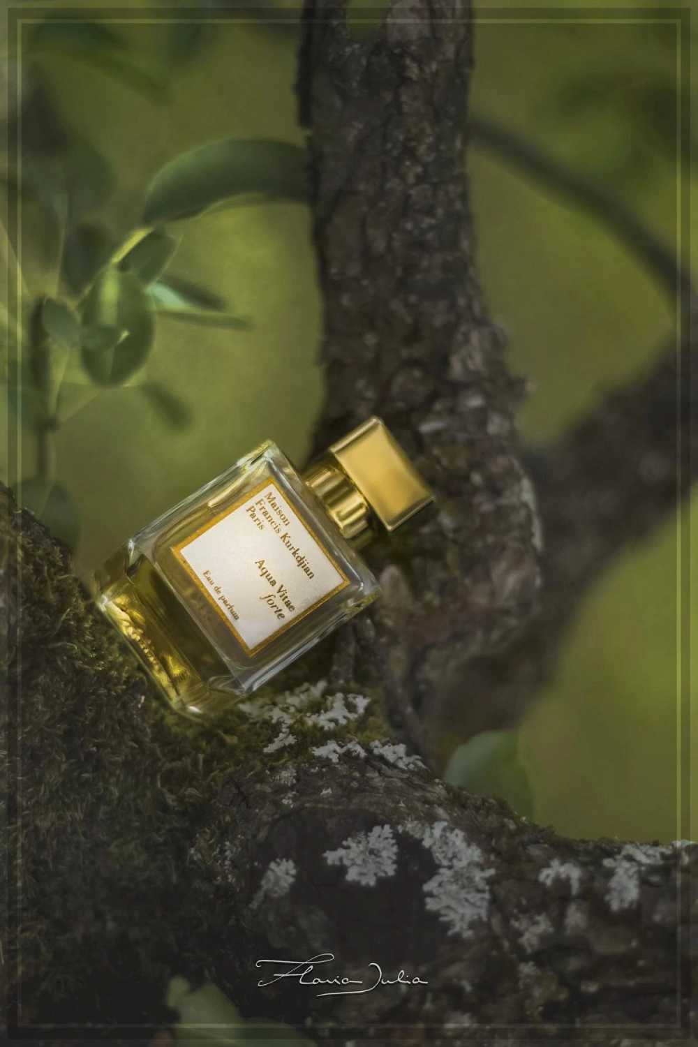 Maison Francis Kurkdjian Aqua Vitae Forte Maison Francis Kurkdjian Aqua Vitae Forte