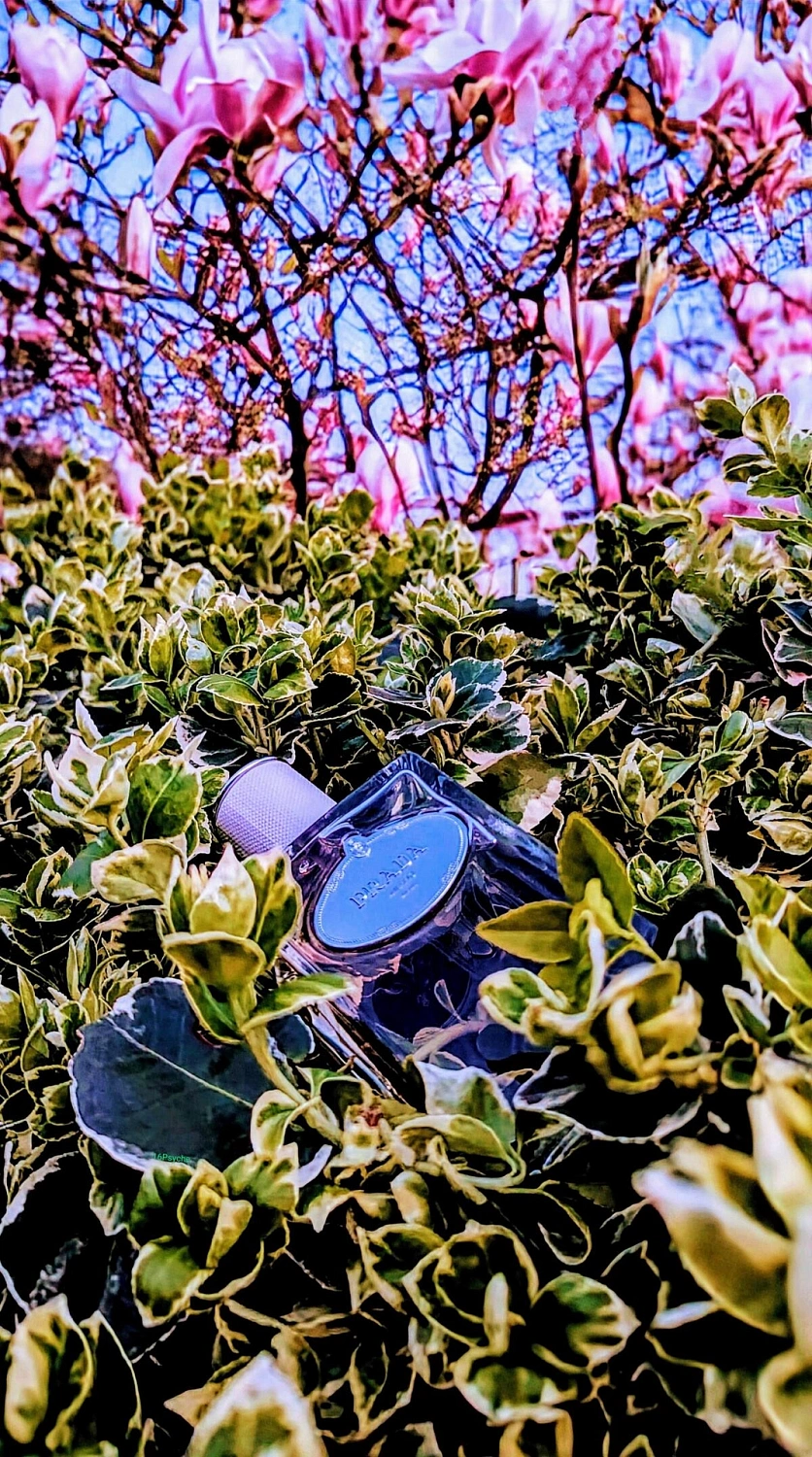 Prada Infusion d'Homme