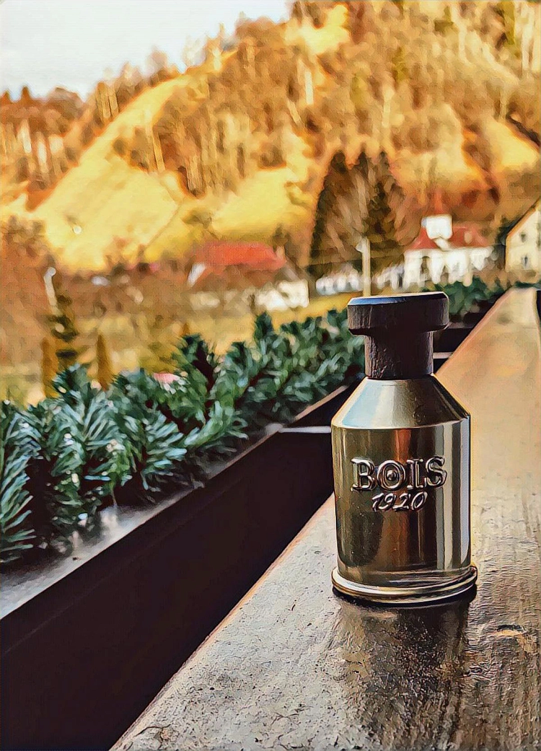 Bois 1920 Dolce di Giorno