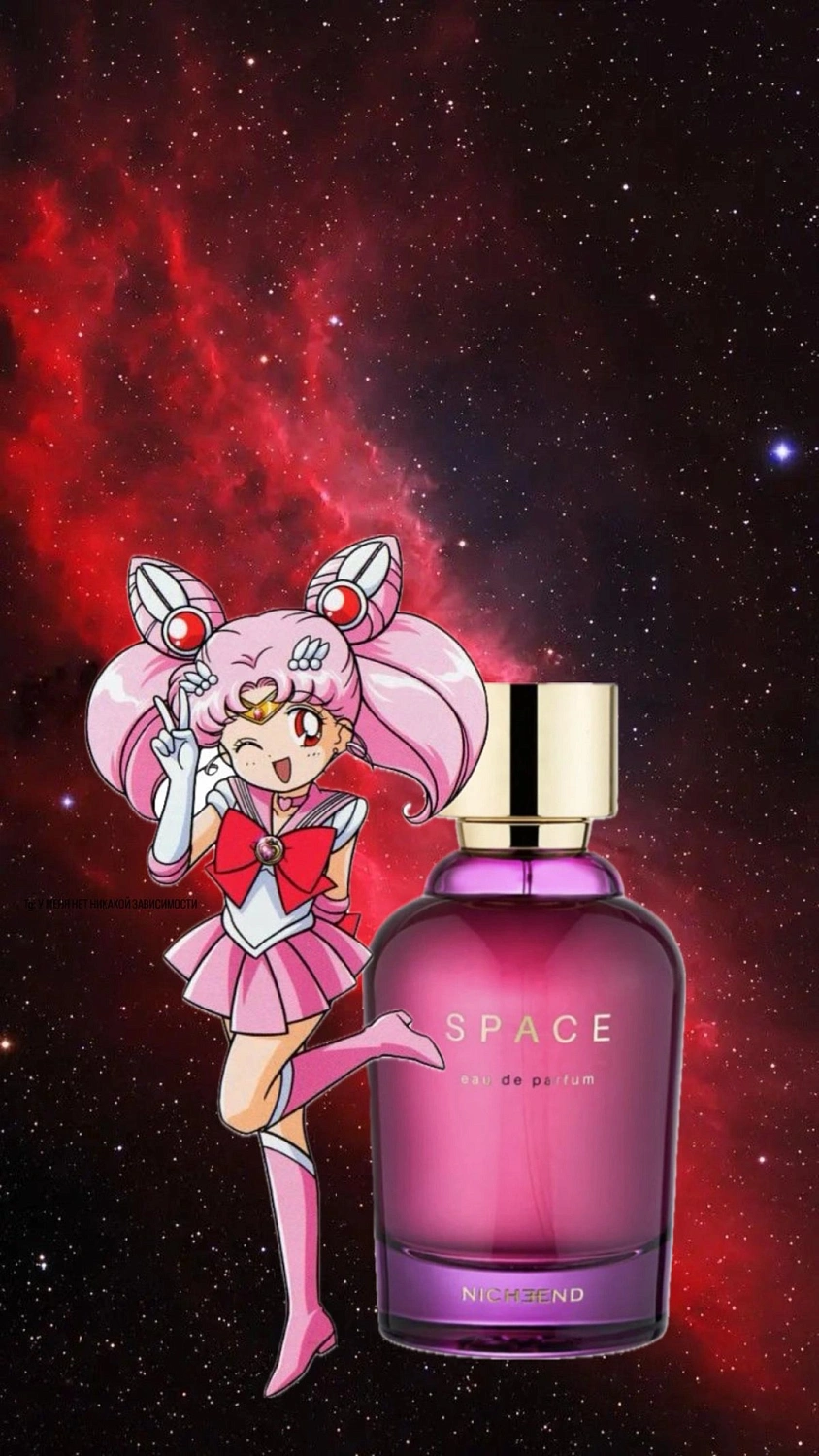 Nicheend Space Nicheend Space