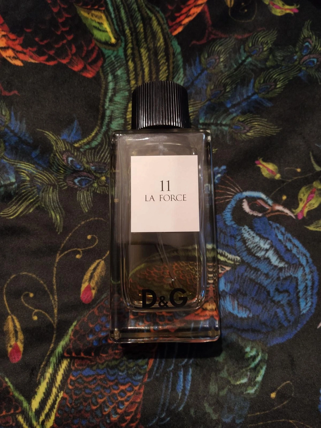 DOLCE & GABBANA La Force 11