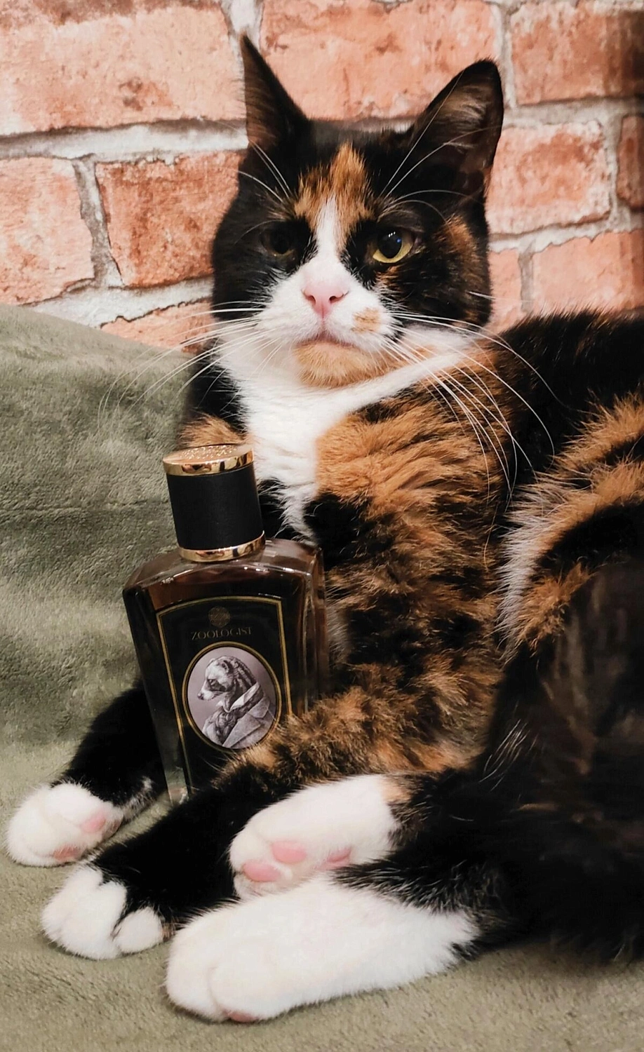 Zoologist Perfumes Civet