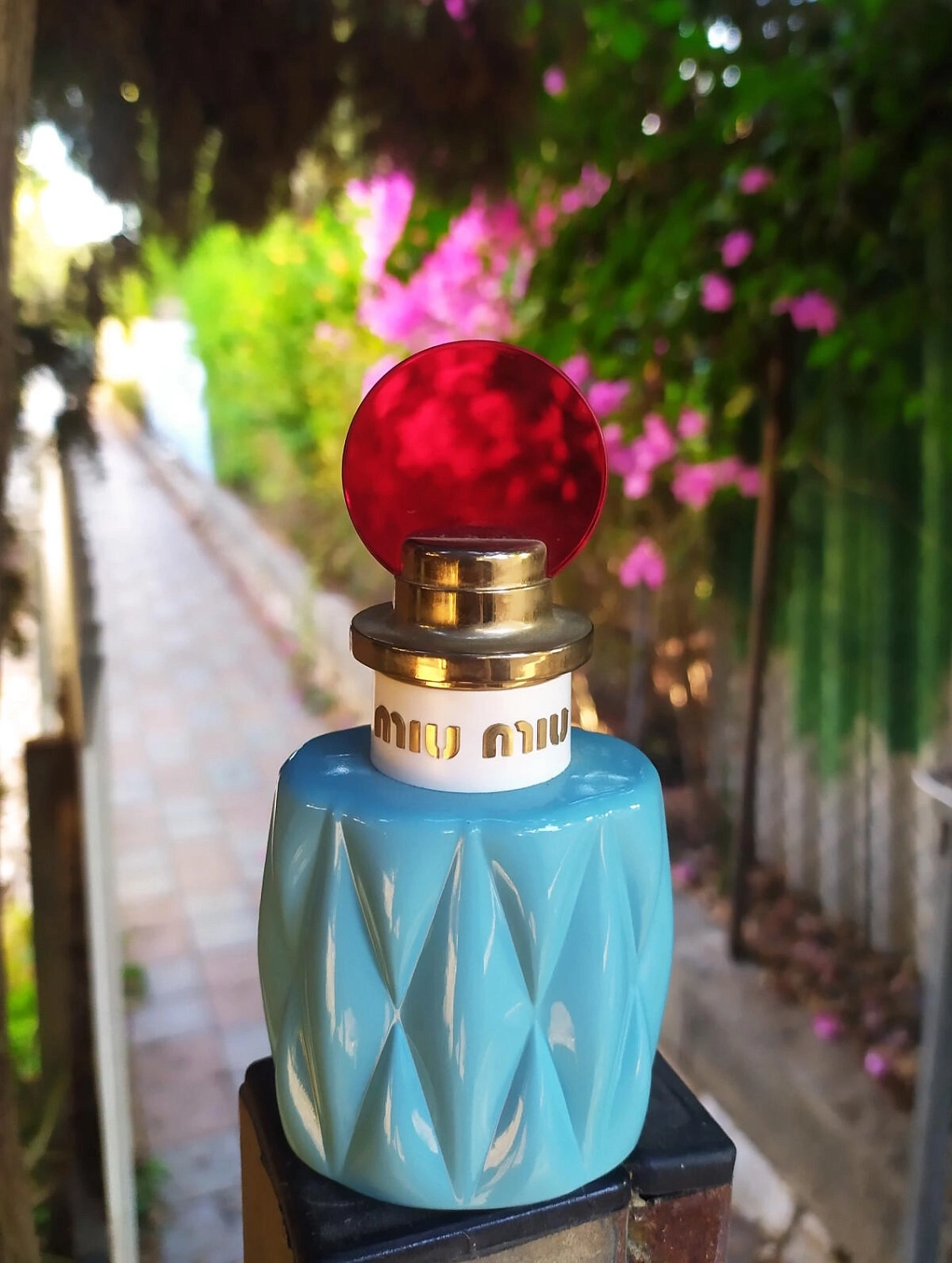 Miu Miu Miu Miu