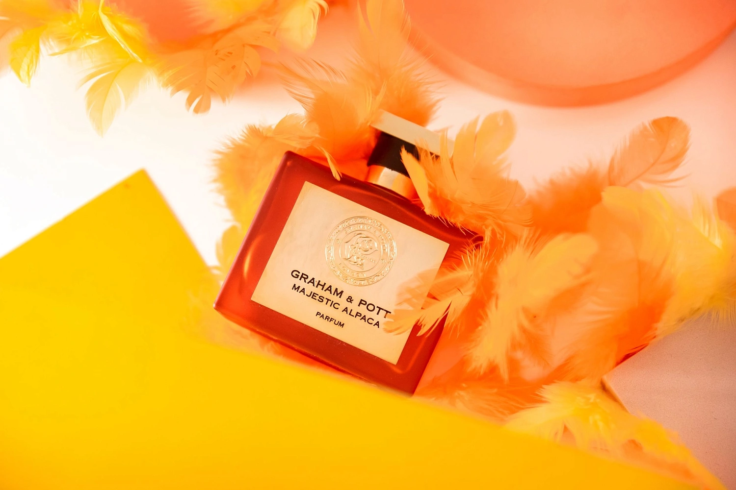 Graham & Pott Majestic Alpaca