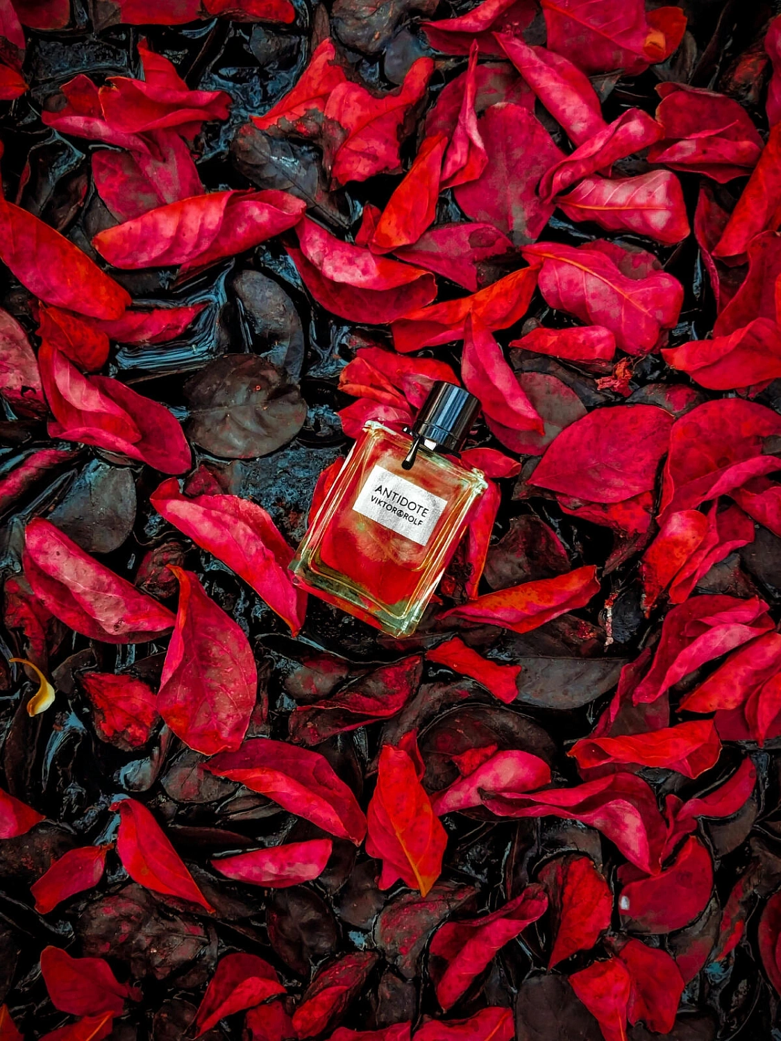 Viktor & Rolf Antidote