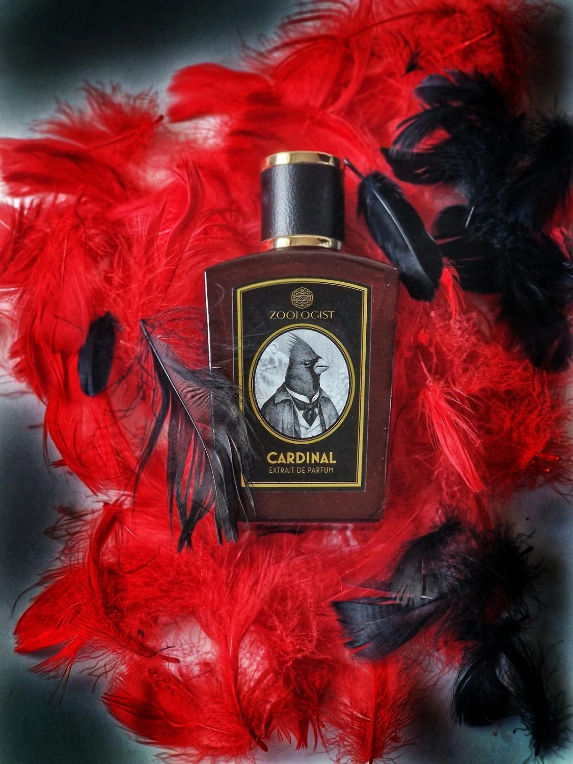 Zoologist Perfumes Northern Cardinal