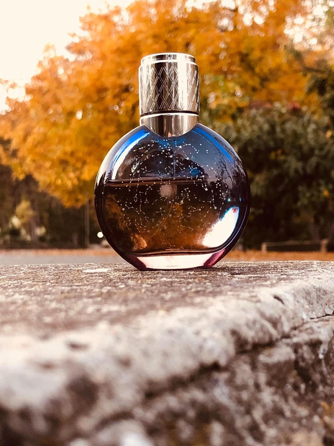 Van Cleef & Arpels Midnight in Paris