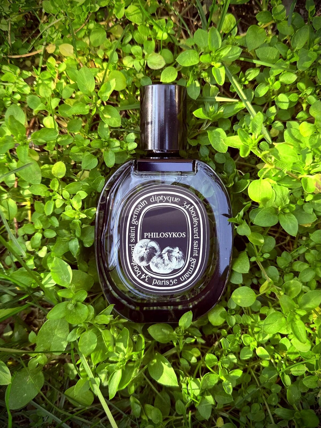 Diptyque Philosykos