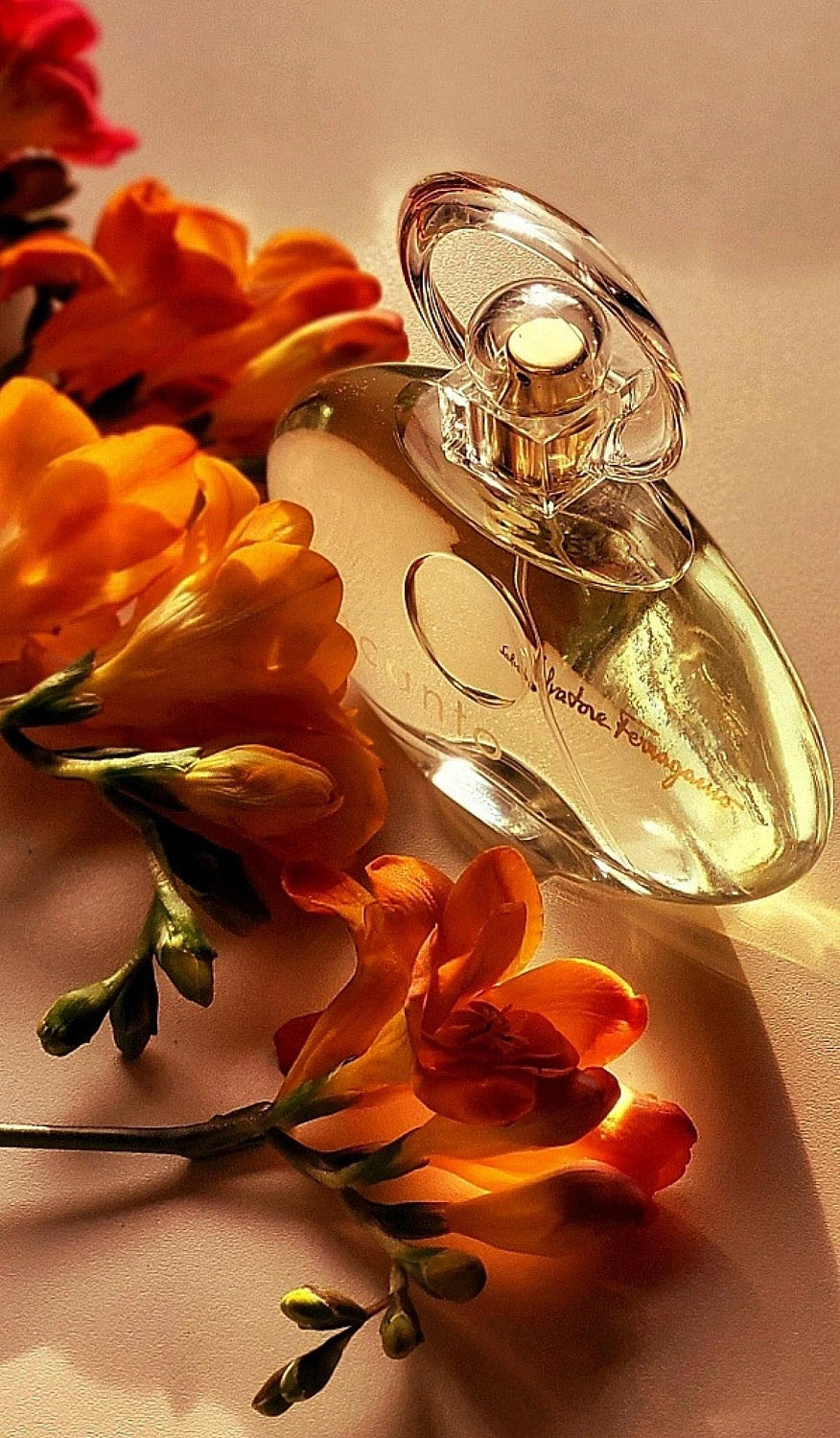 Salvatore Ferragamo Incanto