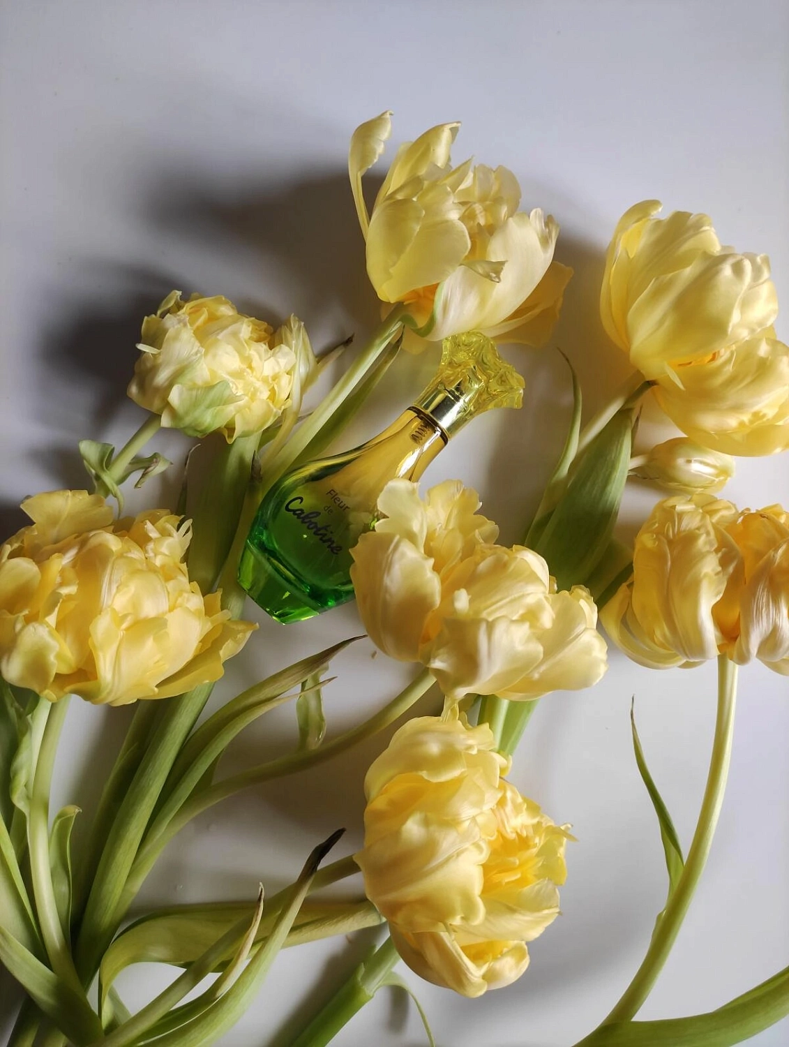 Gres Fleur De Cabotine