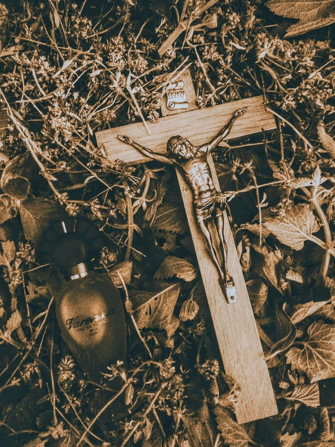 Ulric de Varens Varensia