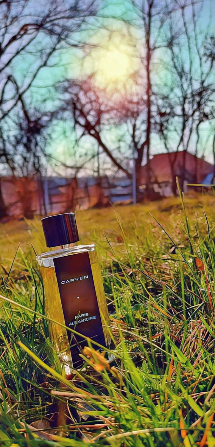 Carven Paris Alexandrie