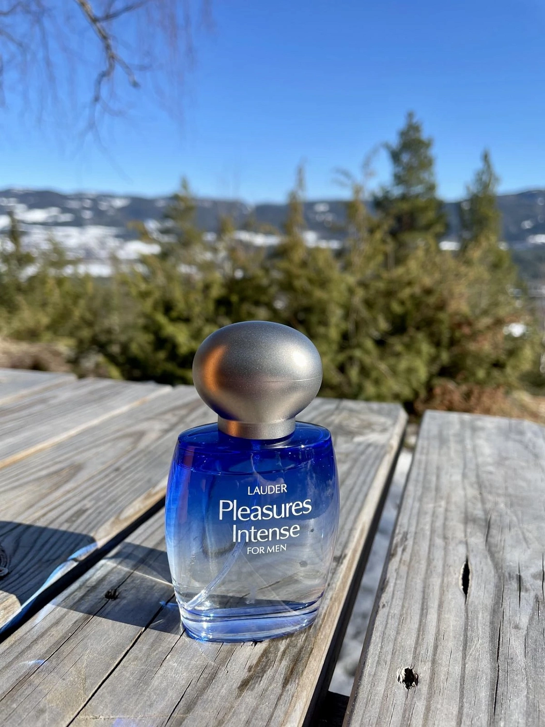 Estee Lauder Pleasures Intense For Men