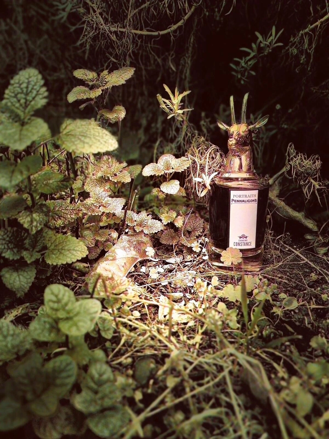 Penhaligon`s Changing Constance