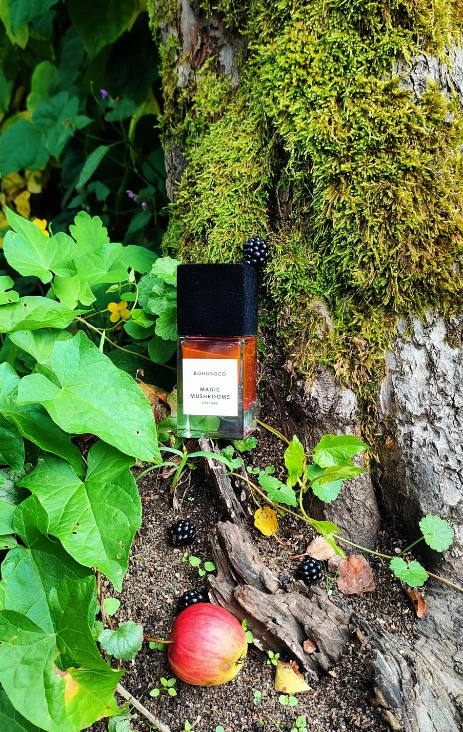 Bohoboco Magic Mushrooms