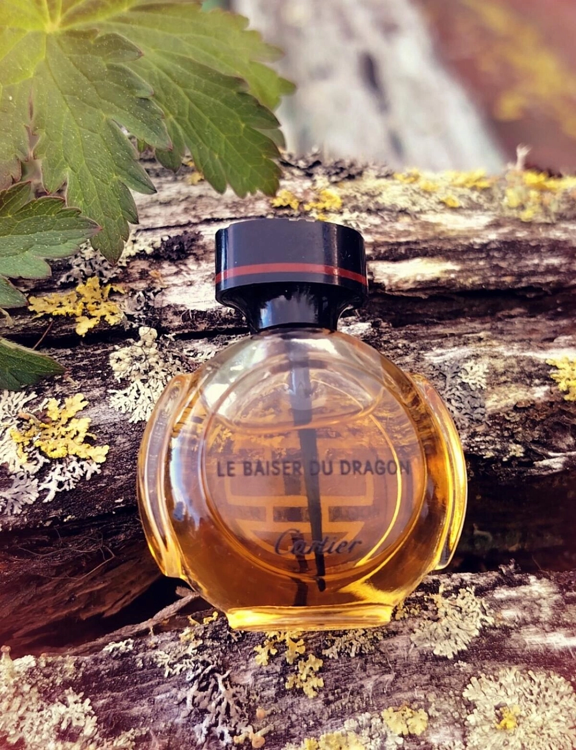 Cartier Le Baiser Du Dragon