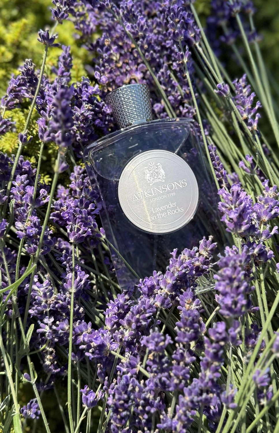 Atkinsons of London Lavender on the Rocks